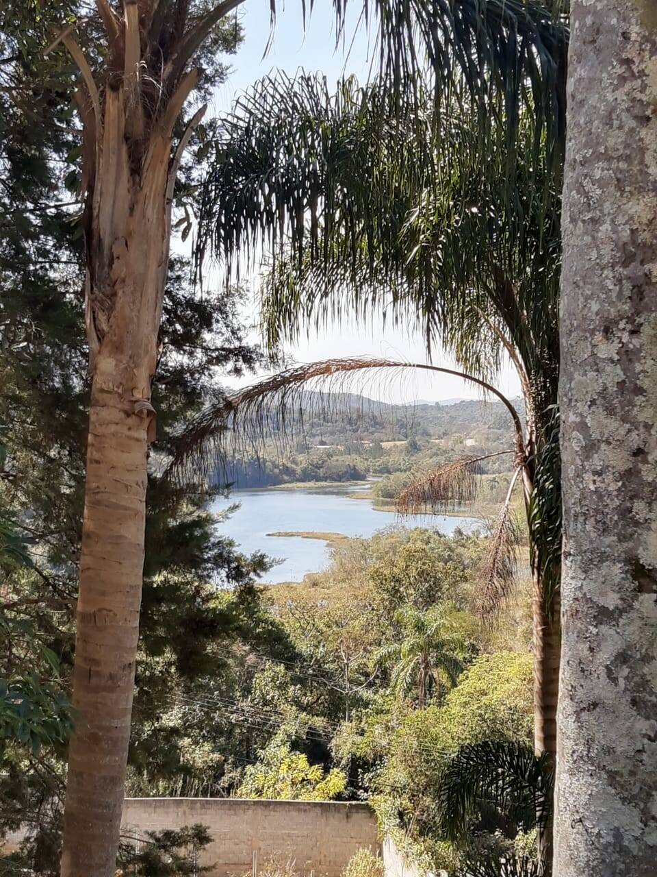 Chácara, 3 quartos, 1460 m² - Foto 16