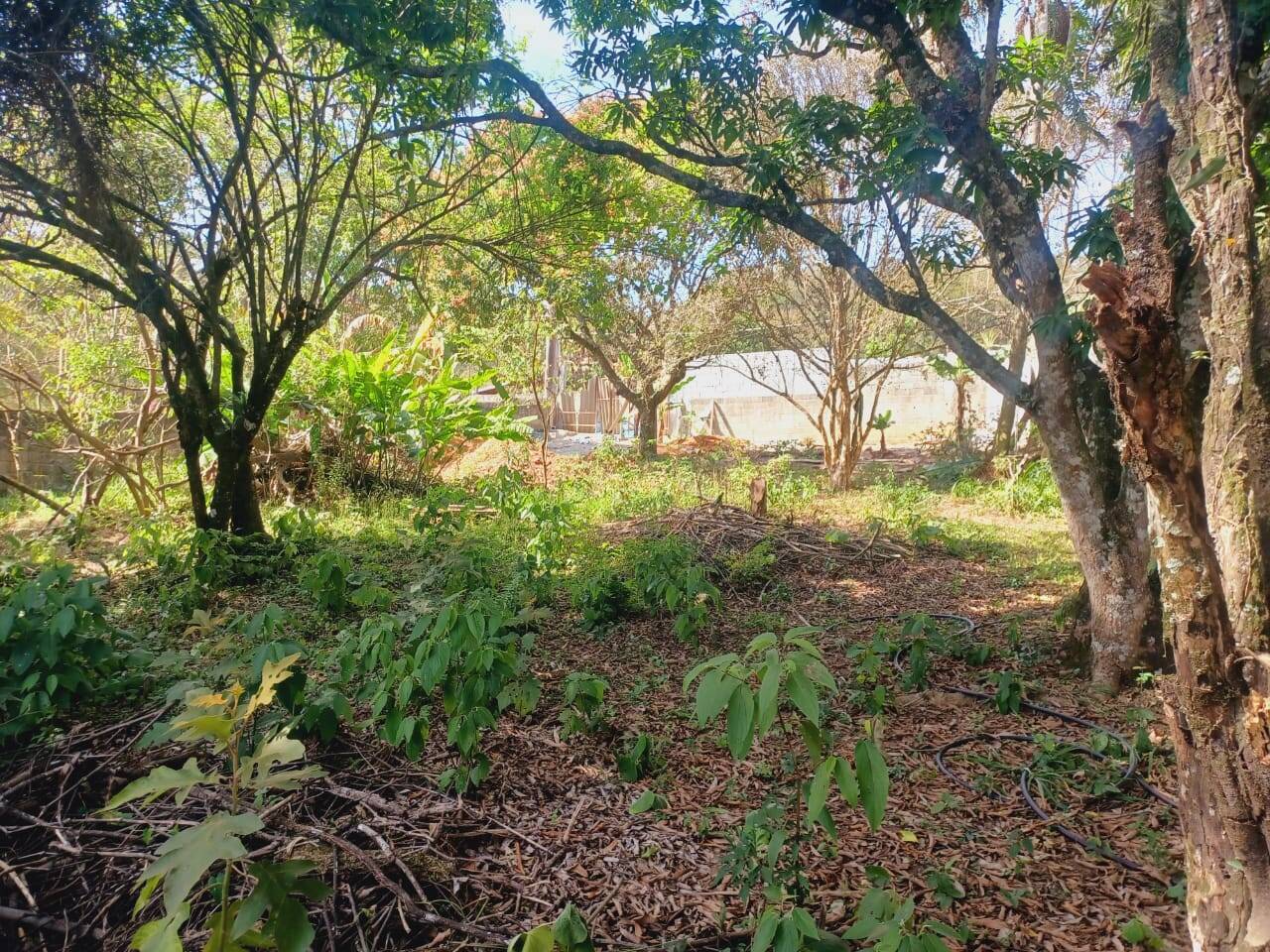 Terreno, 930 m² - Foto 7