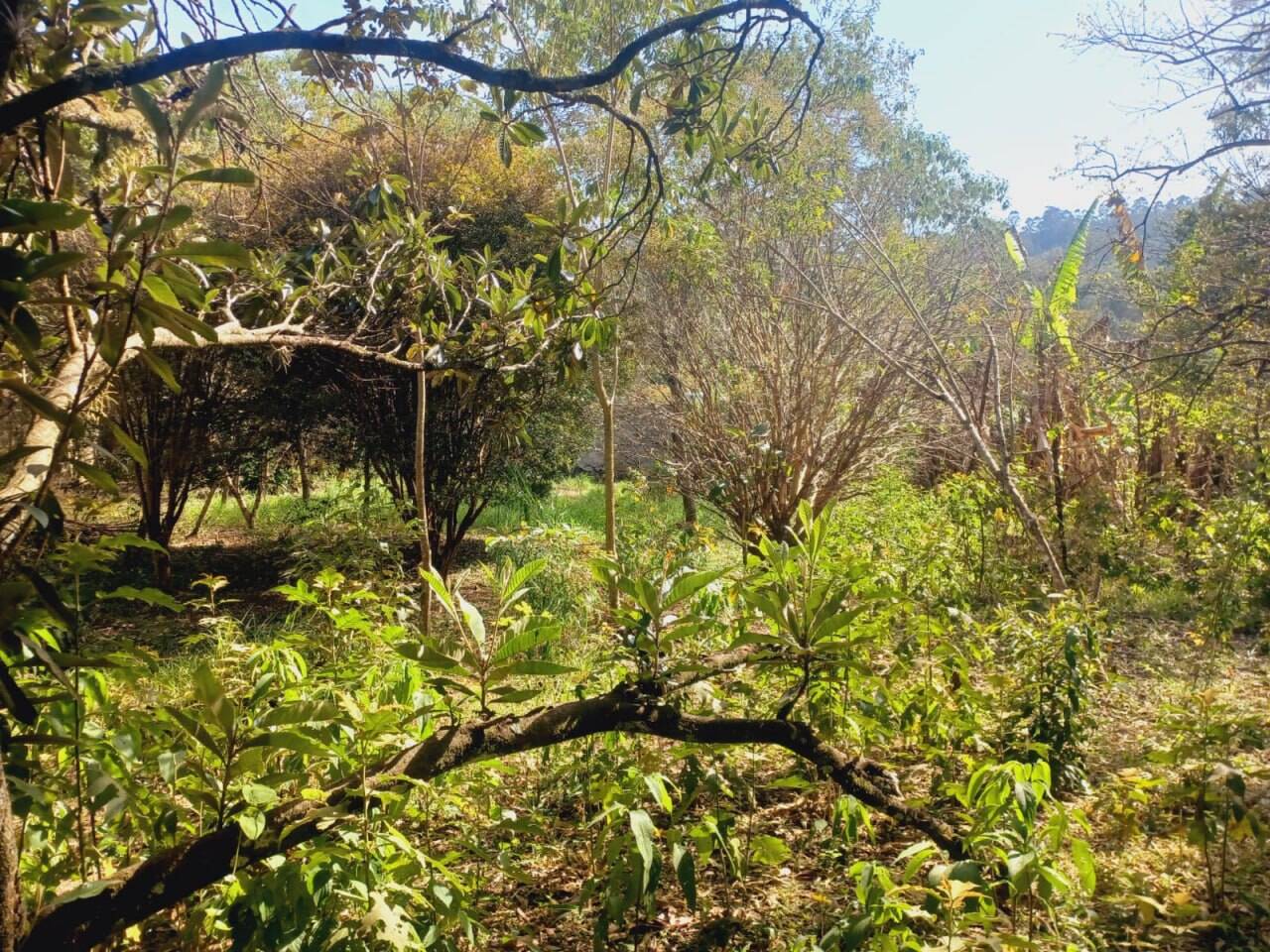 Terreno, 1870 m² - Foto 5