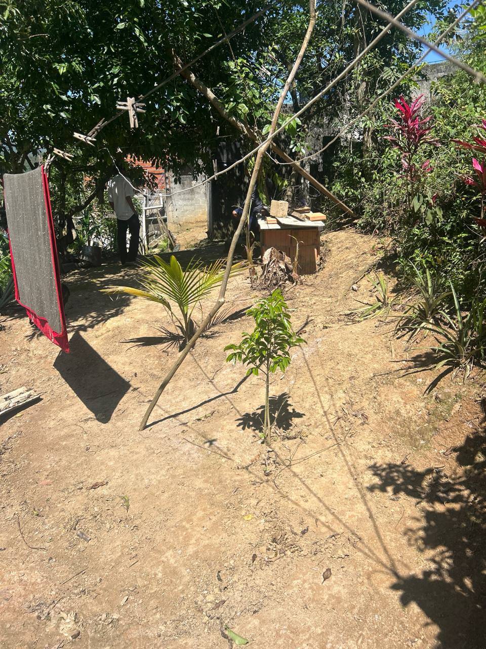Casa - Foto 9