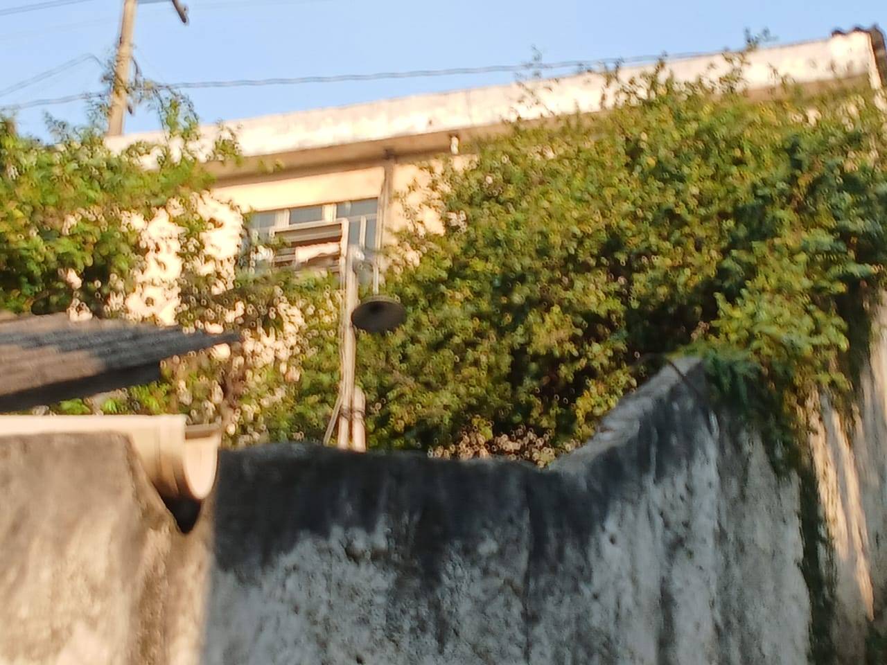 Casa, 2 quartos - Foto 11