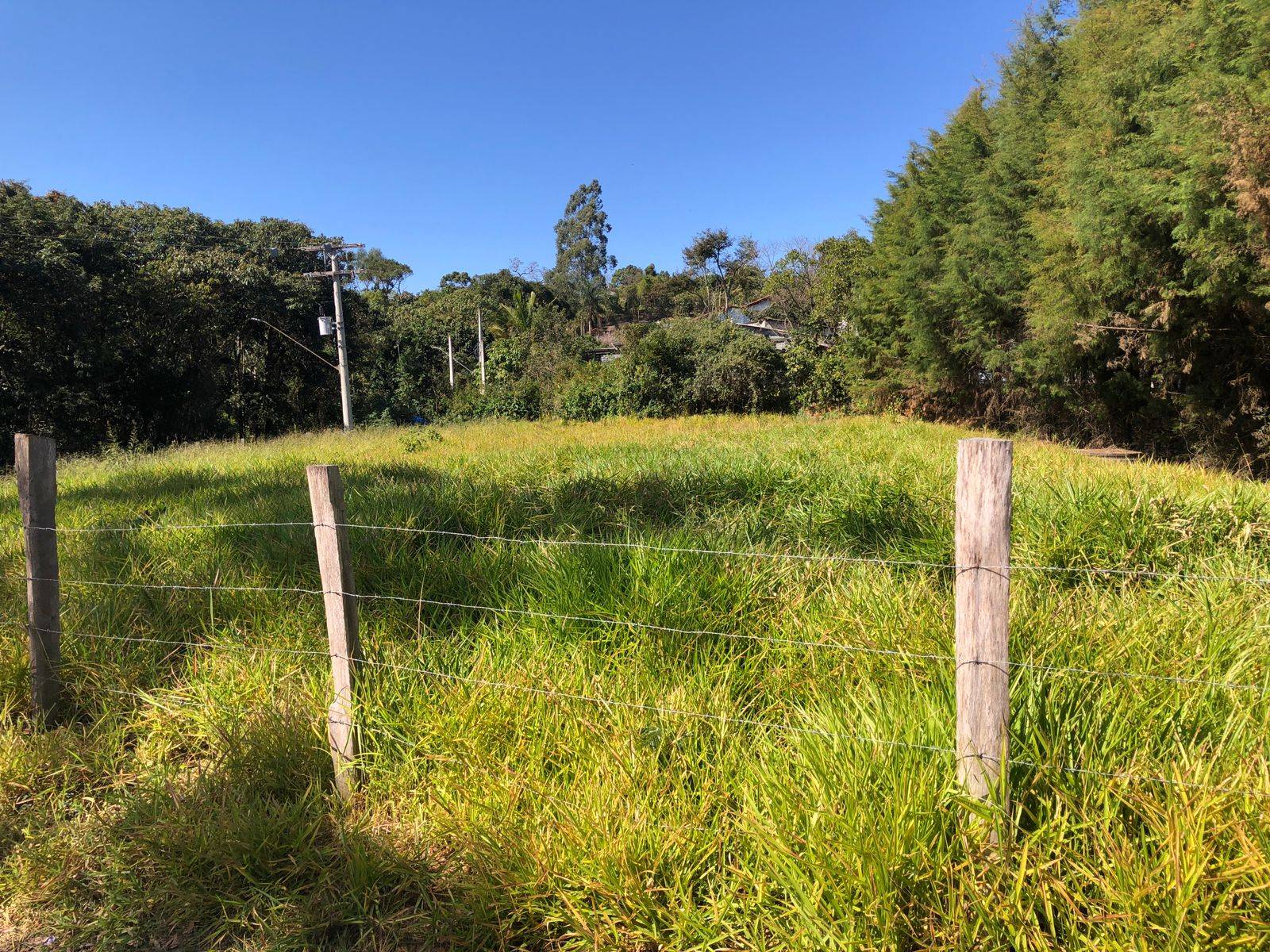 Terreno, 1000 m² - Foto 4