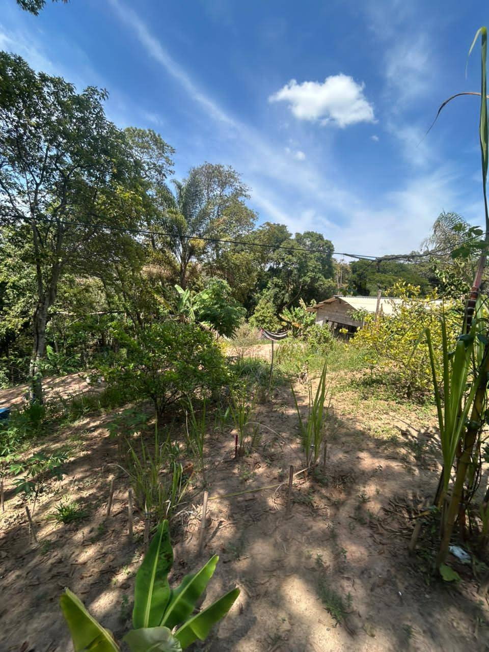 Chácara, 2 quartos, 1000 m² - Foto 3