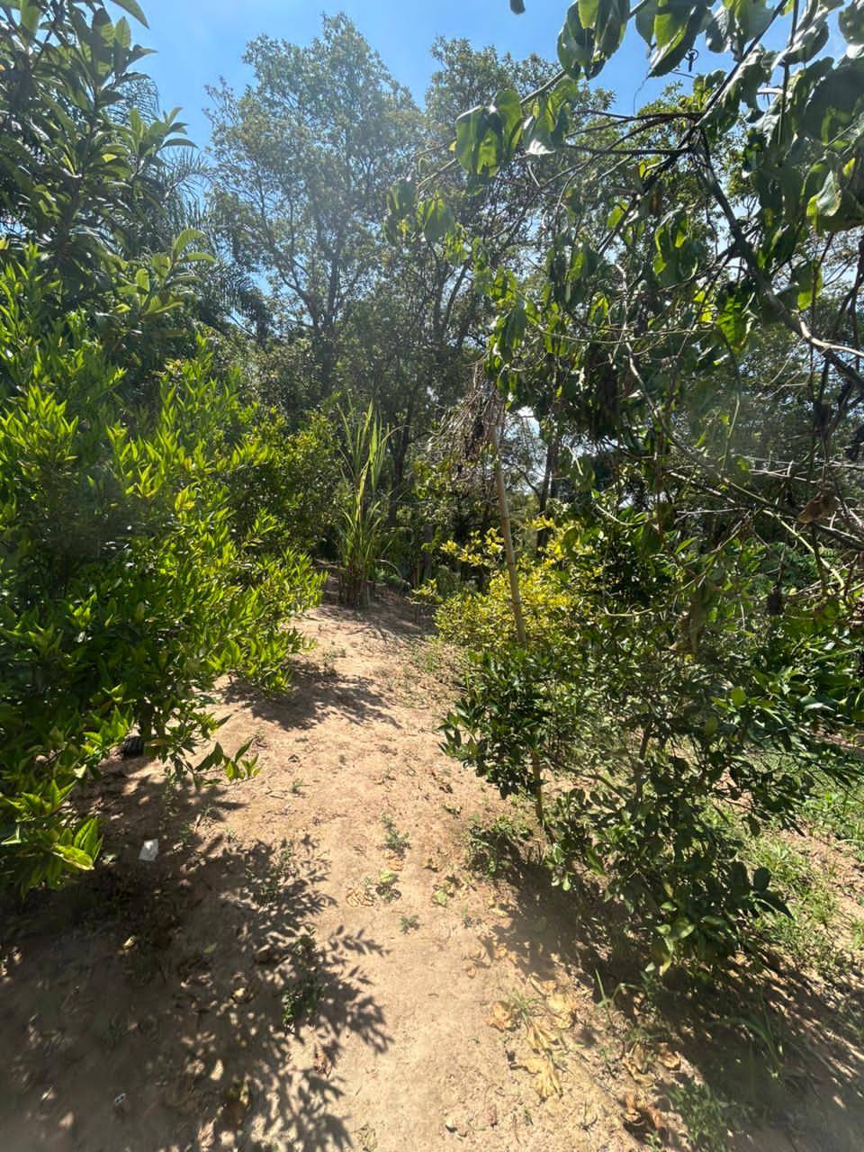 Chácara, 2 quartos, 1000 m² - Foto 16