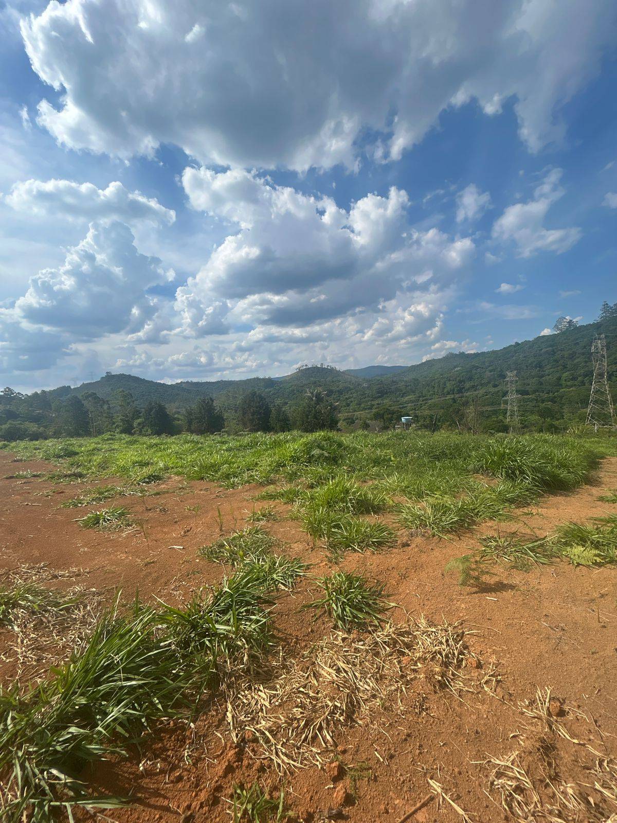 Terreno, 1000 m² - Foto 1