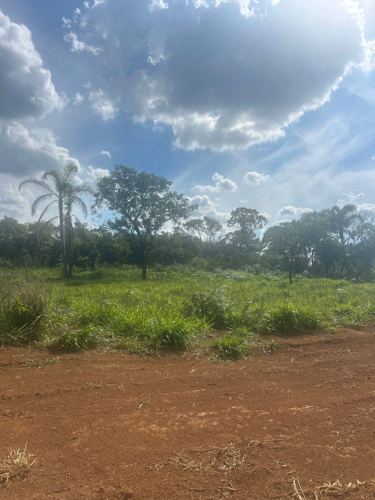 Terreno, 1000 m² - Foto 2