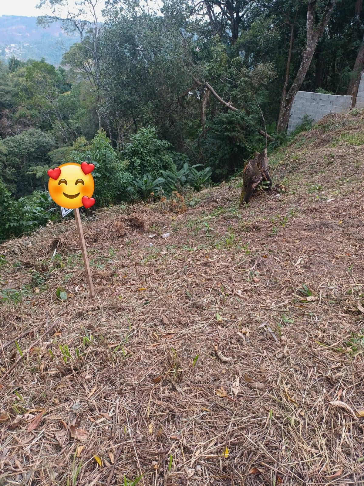 Terreno, 356 m² - Foto 5