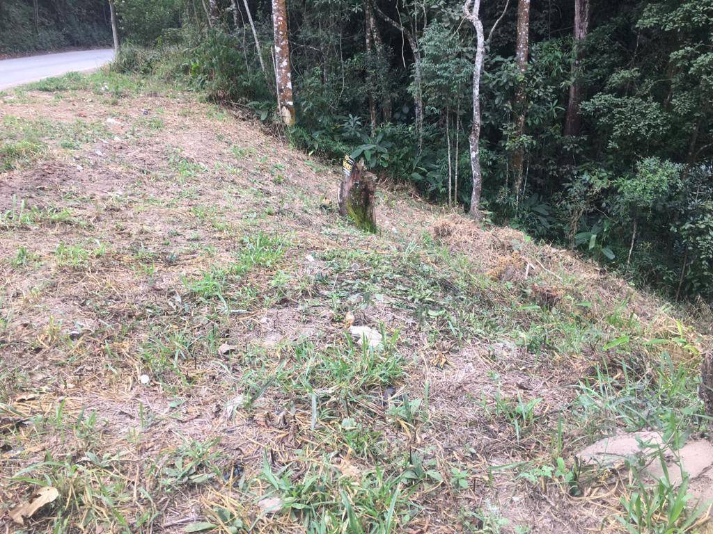 Terreno, 356 m² - Foto 1