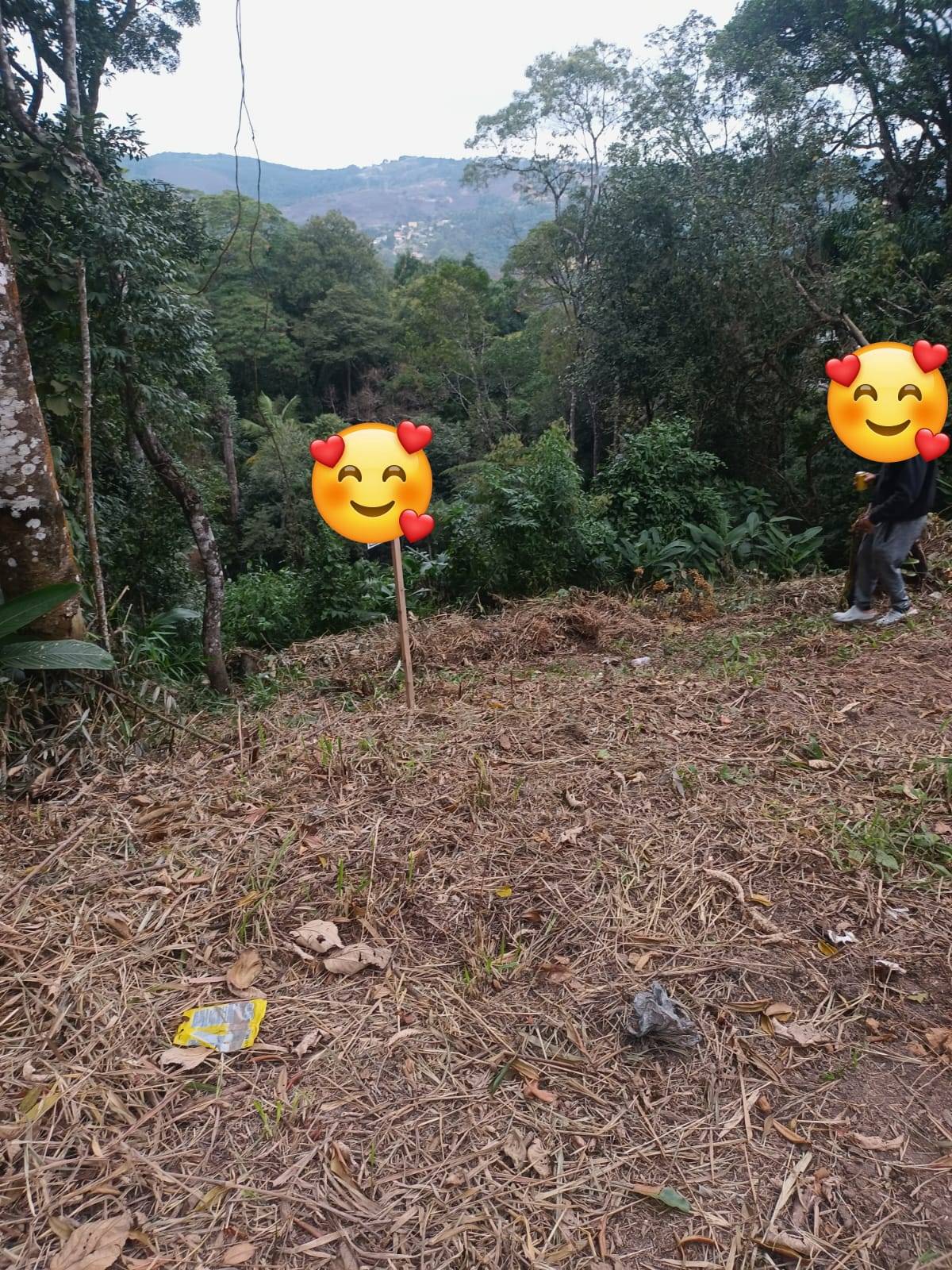 Terreno, 356 m² - Foto 6