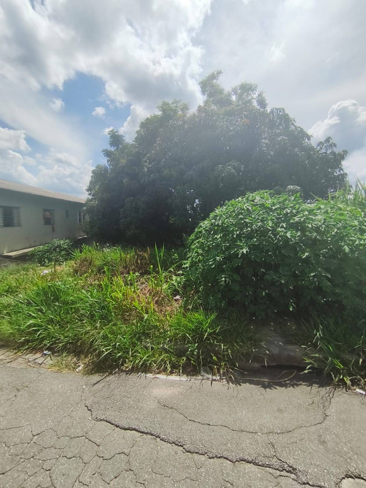 Terreno, 260 m² - Foto 1