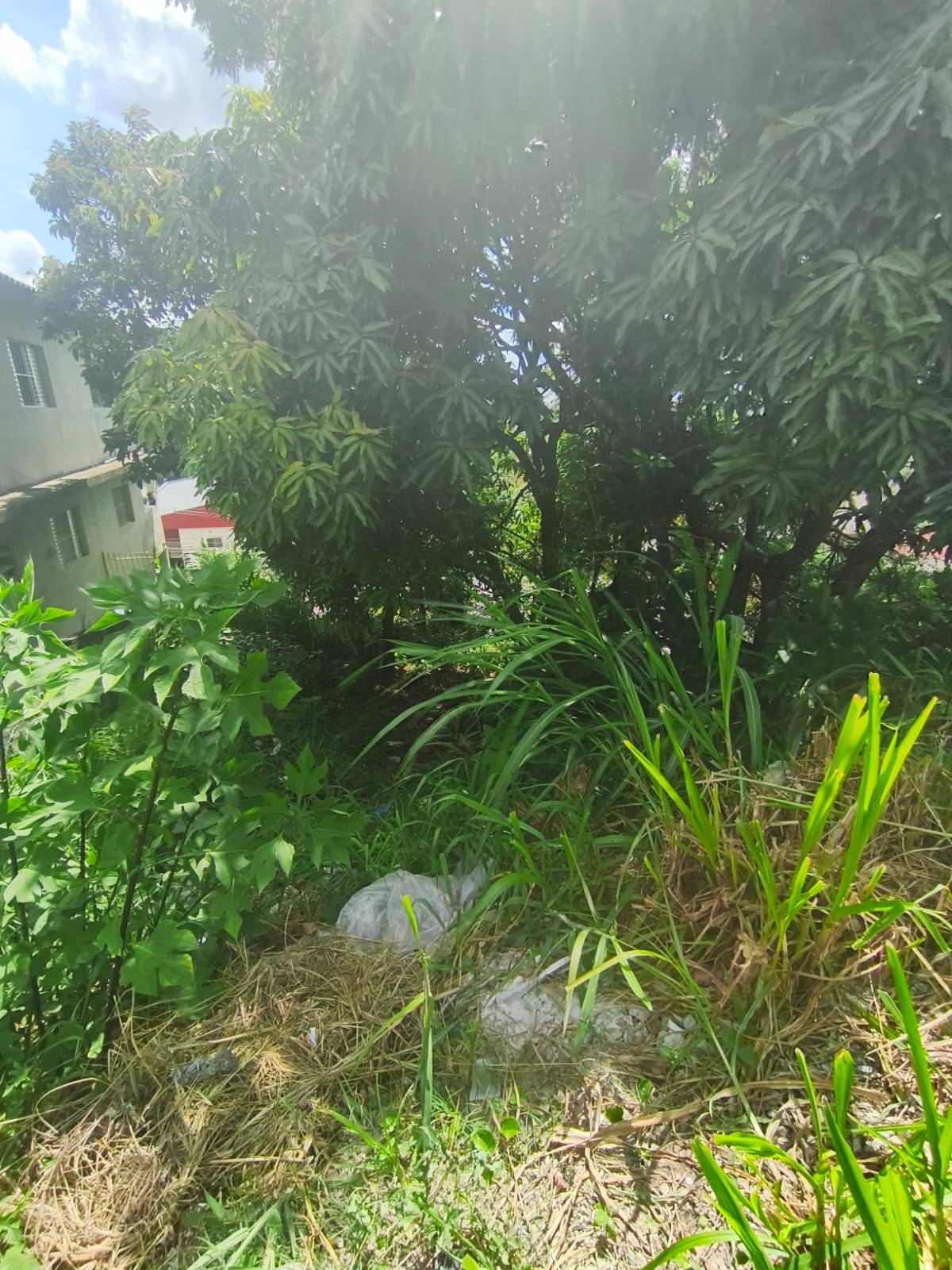 Terreno, 260 m² - Foto 4