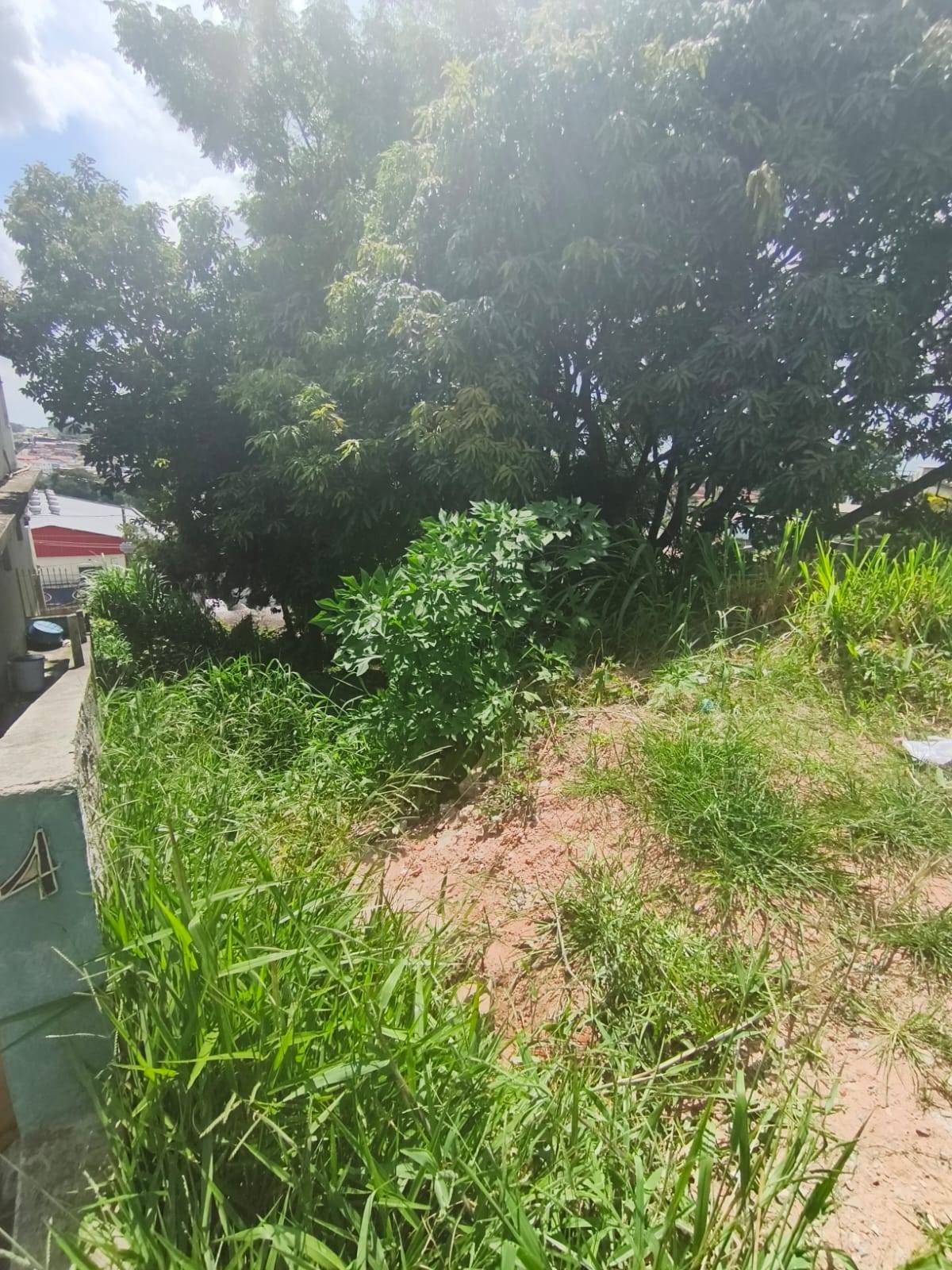 Terreno, 260 m² - Foto 5