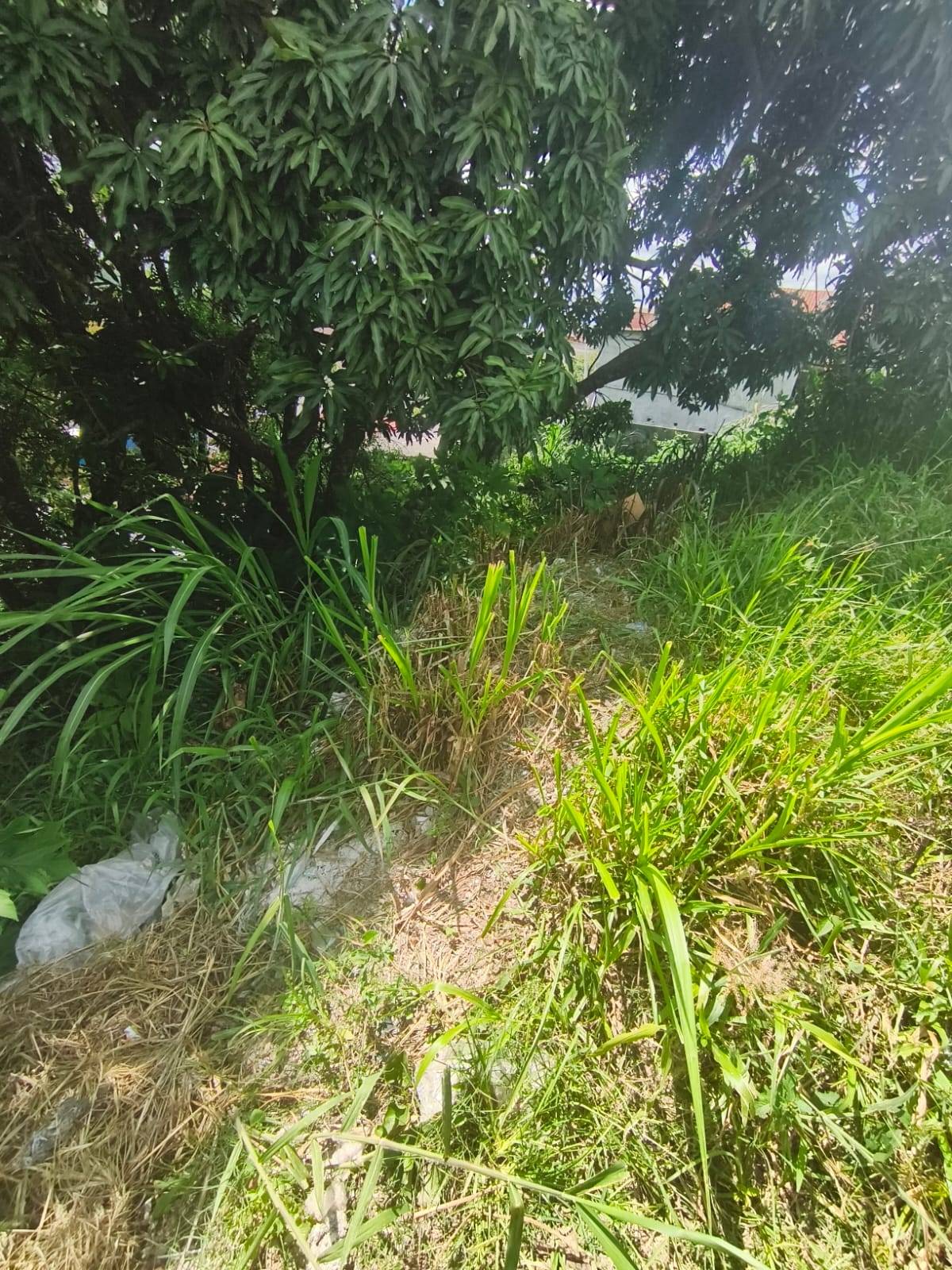 Terreno, 260 m² - Foto 6