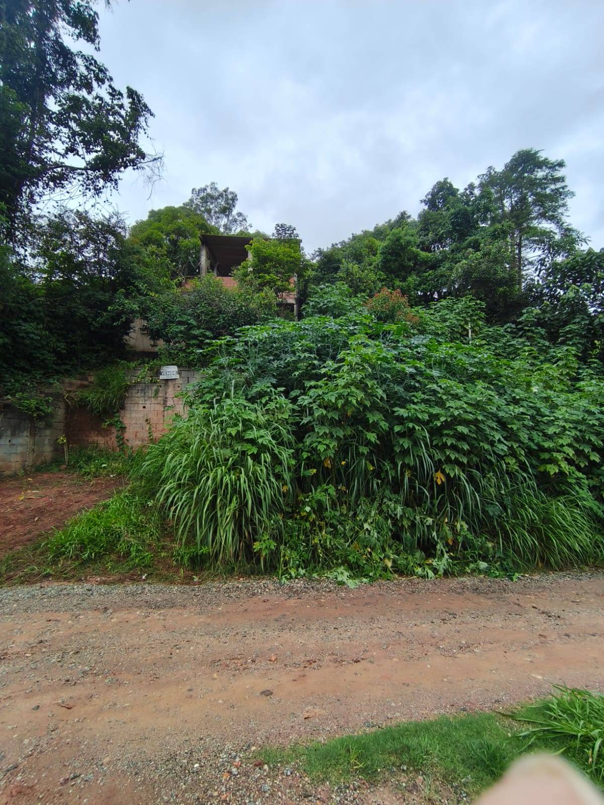 Terreno, 1200 m² - Foto 2