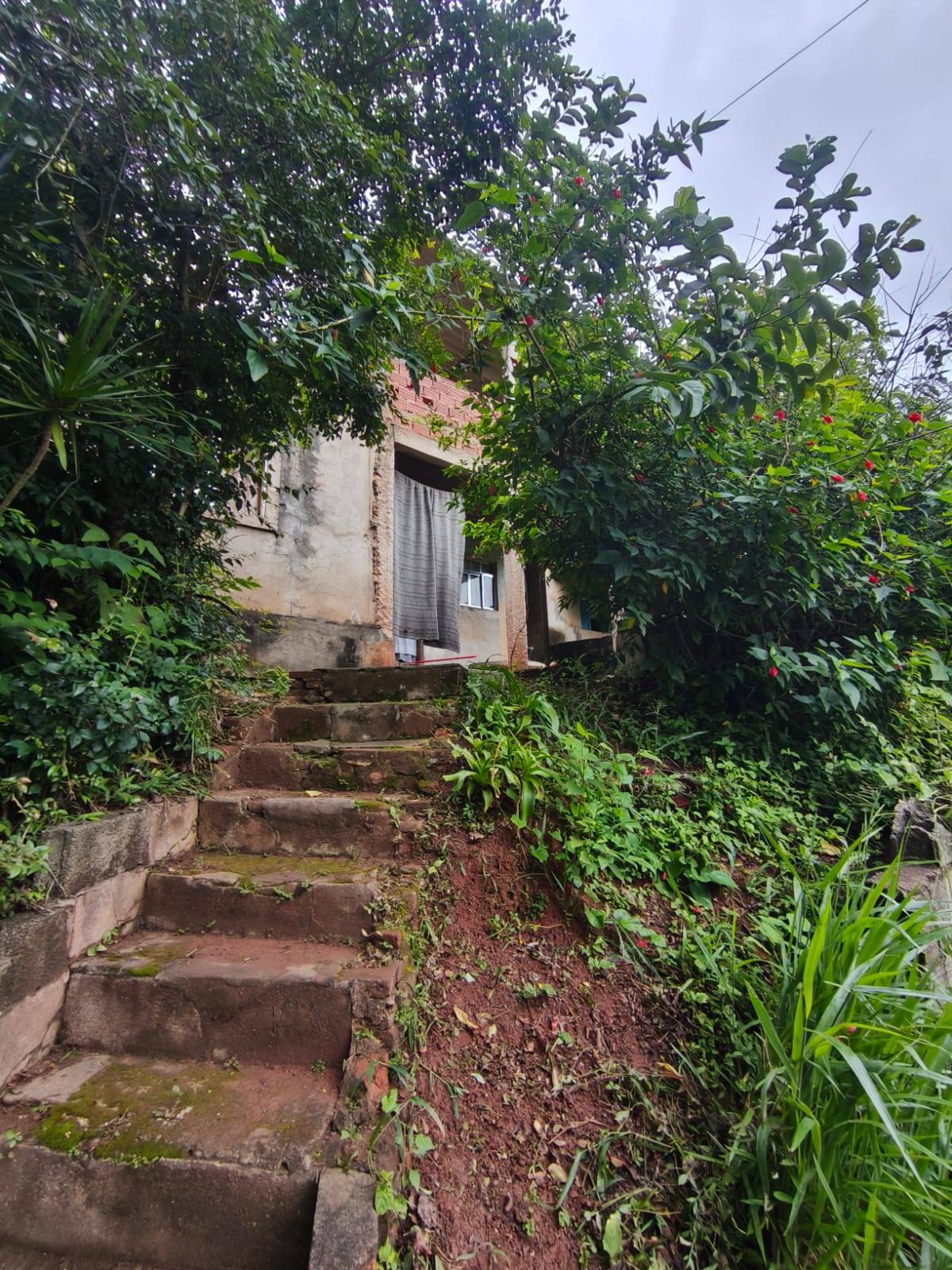 Terreno, 1200 m² - Foto 6