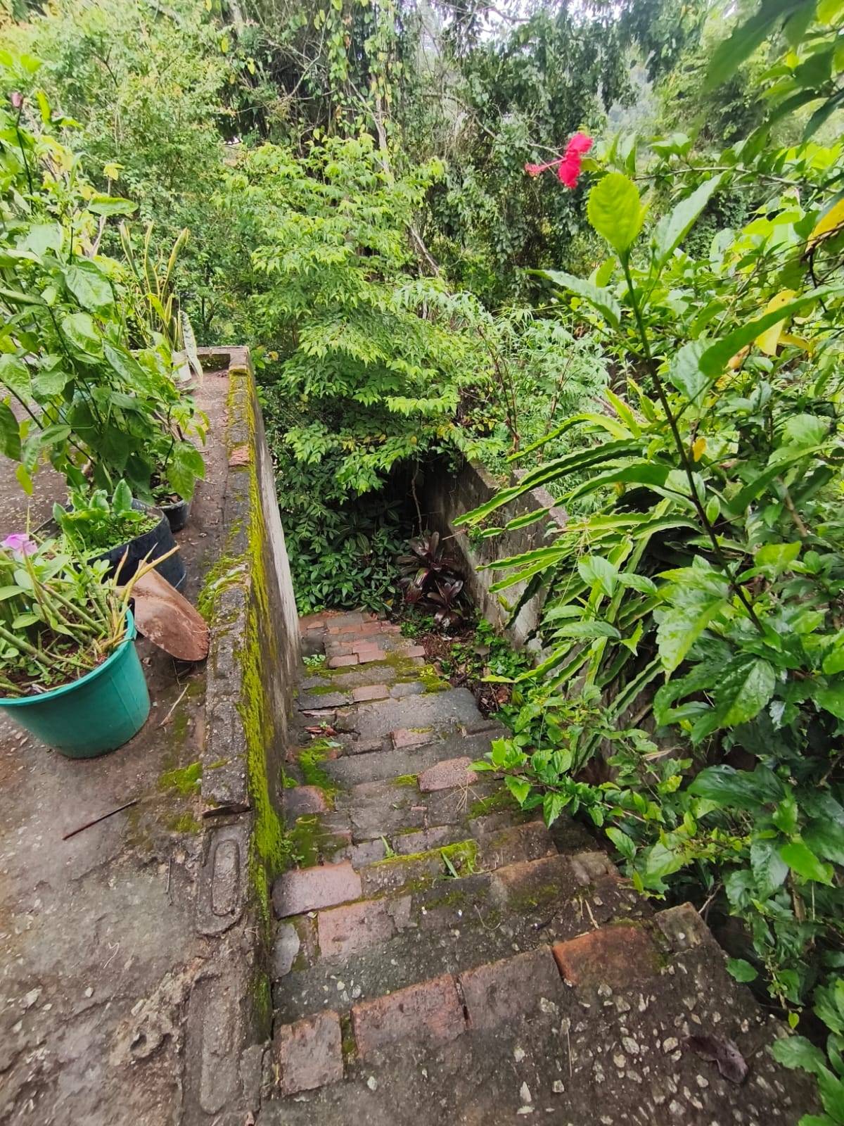 Terreno, 1200 m² - Foto 16