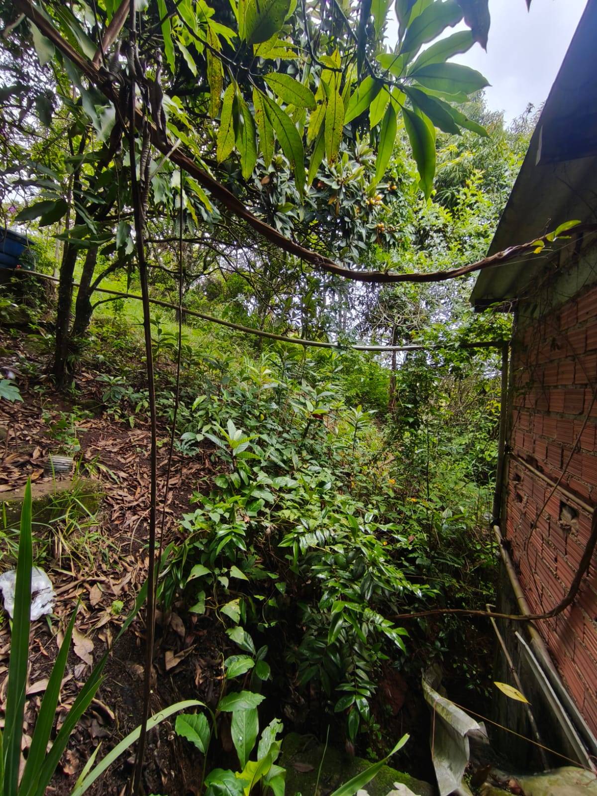 Terreno, 1200 m² - Foto 19