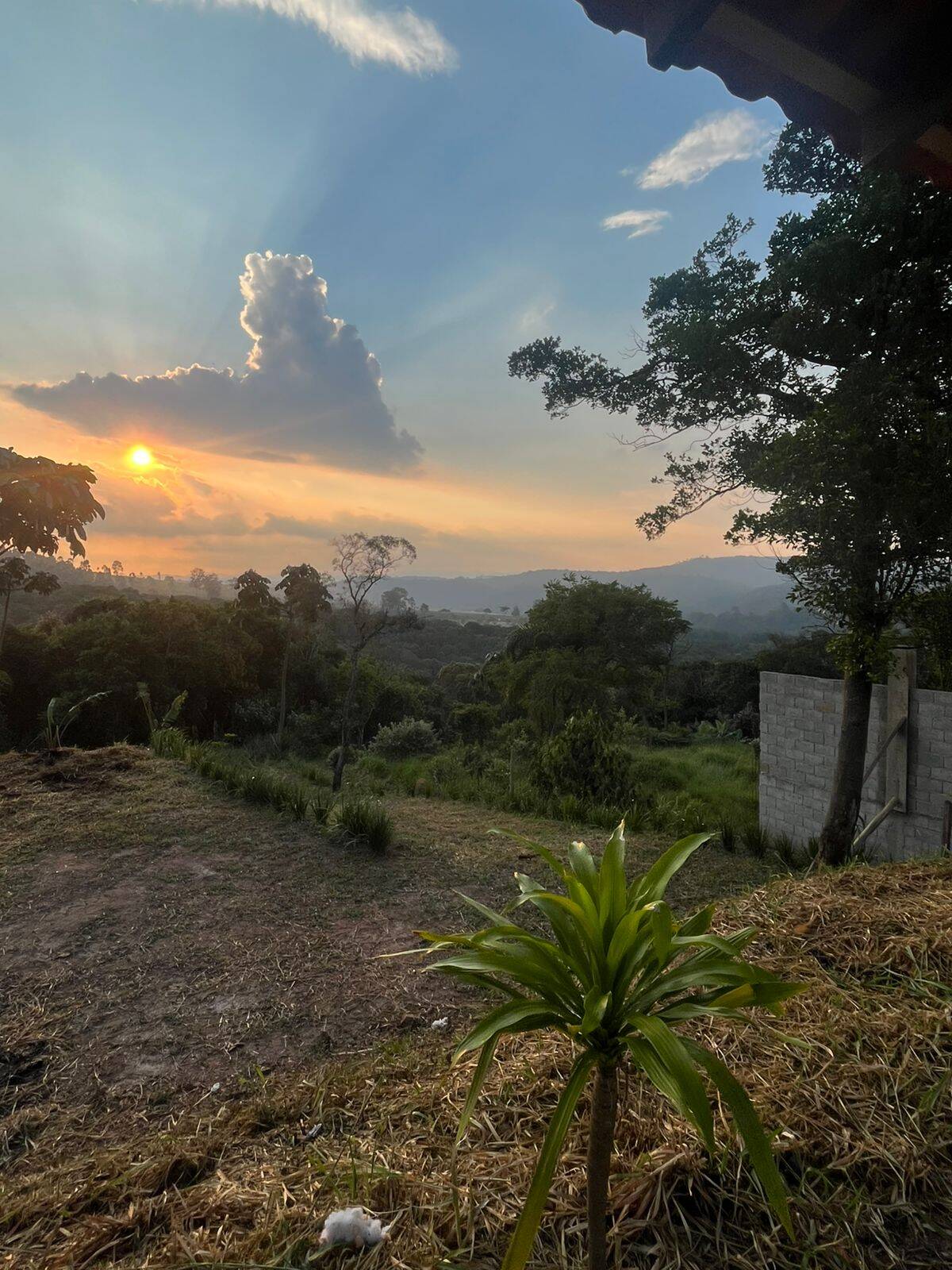 Terreno, 4400 m² - Foto 16