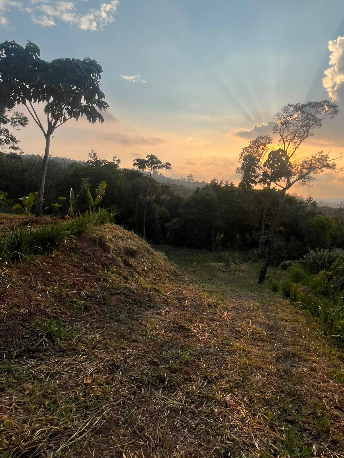 Terreno, 4400 m² - Foto 33