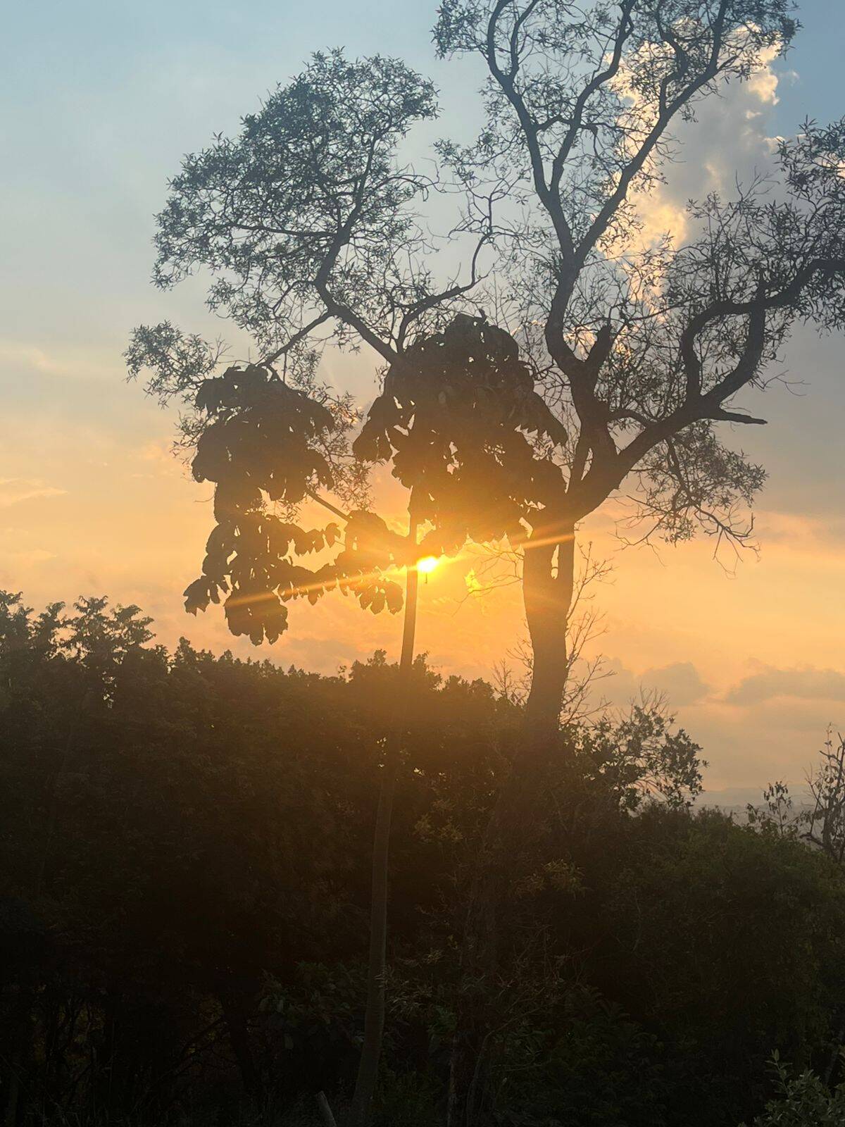 Terreno, 4400 m² - Foto 13