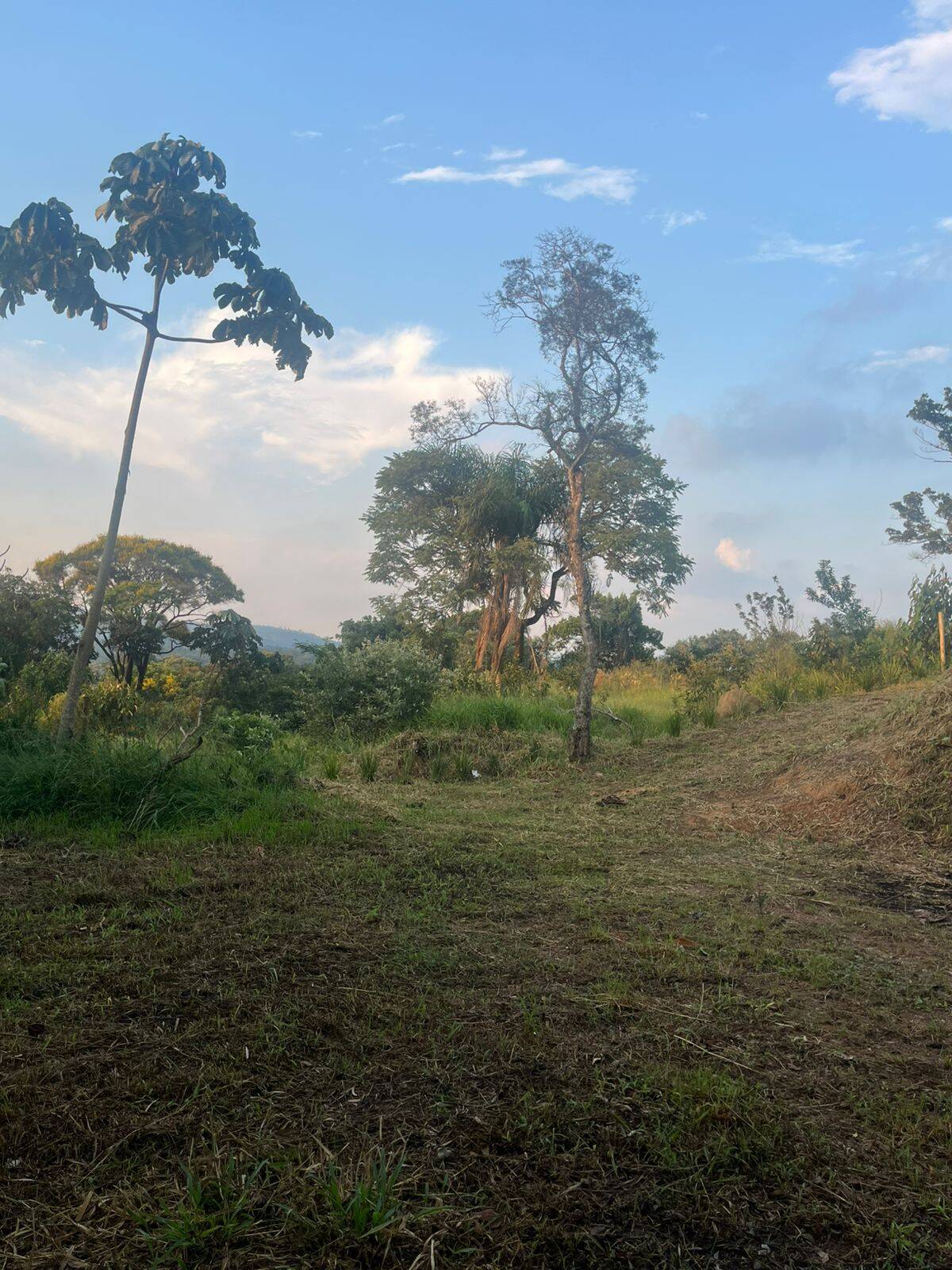 Terreno, 4400 m² - Foto 40