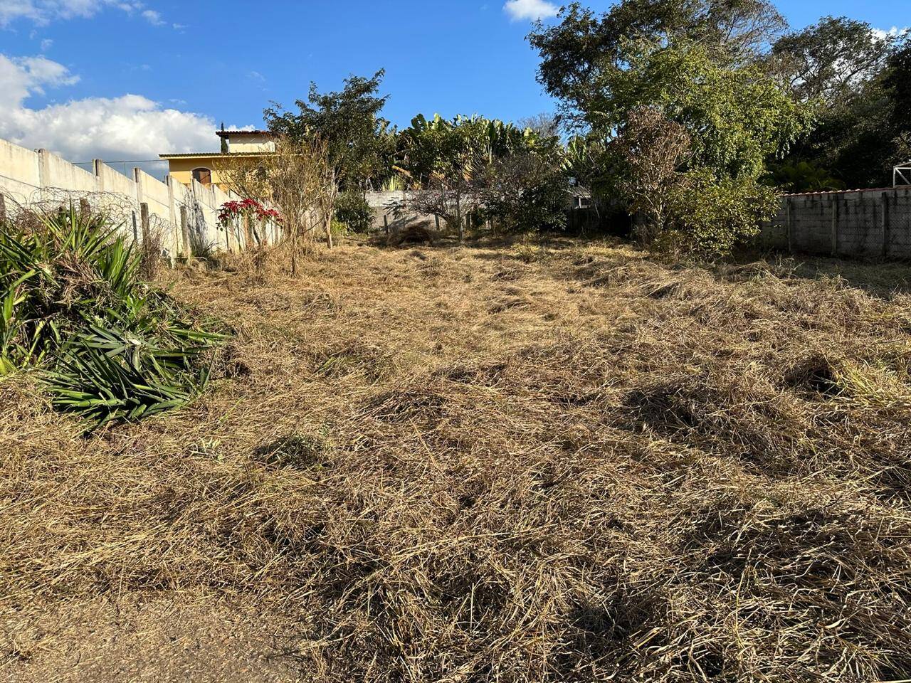 Terreno - Foto 6