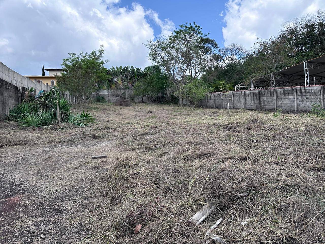 Terreno - Foto 7
