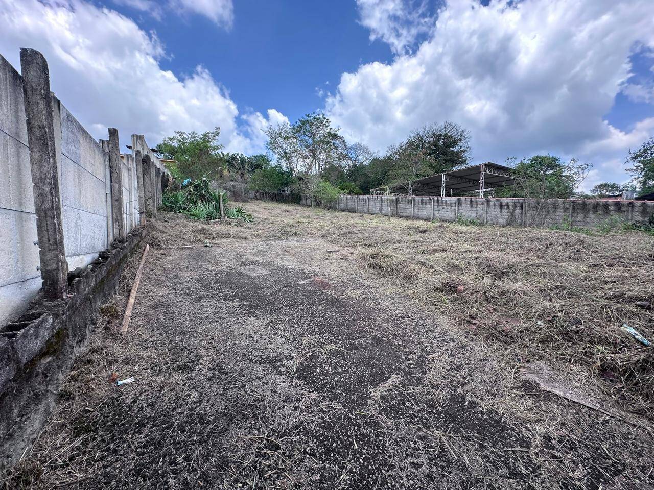 Terreno - Foto 5