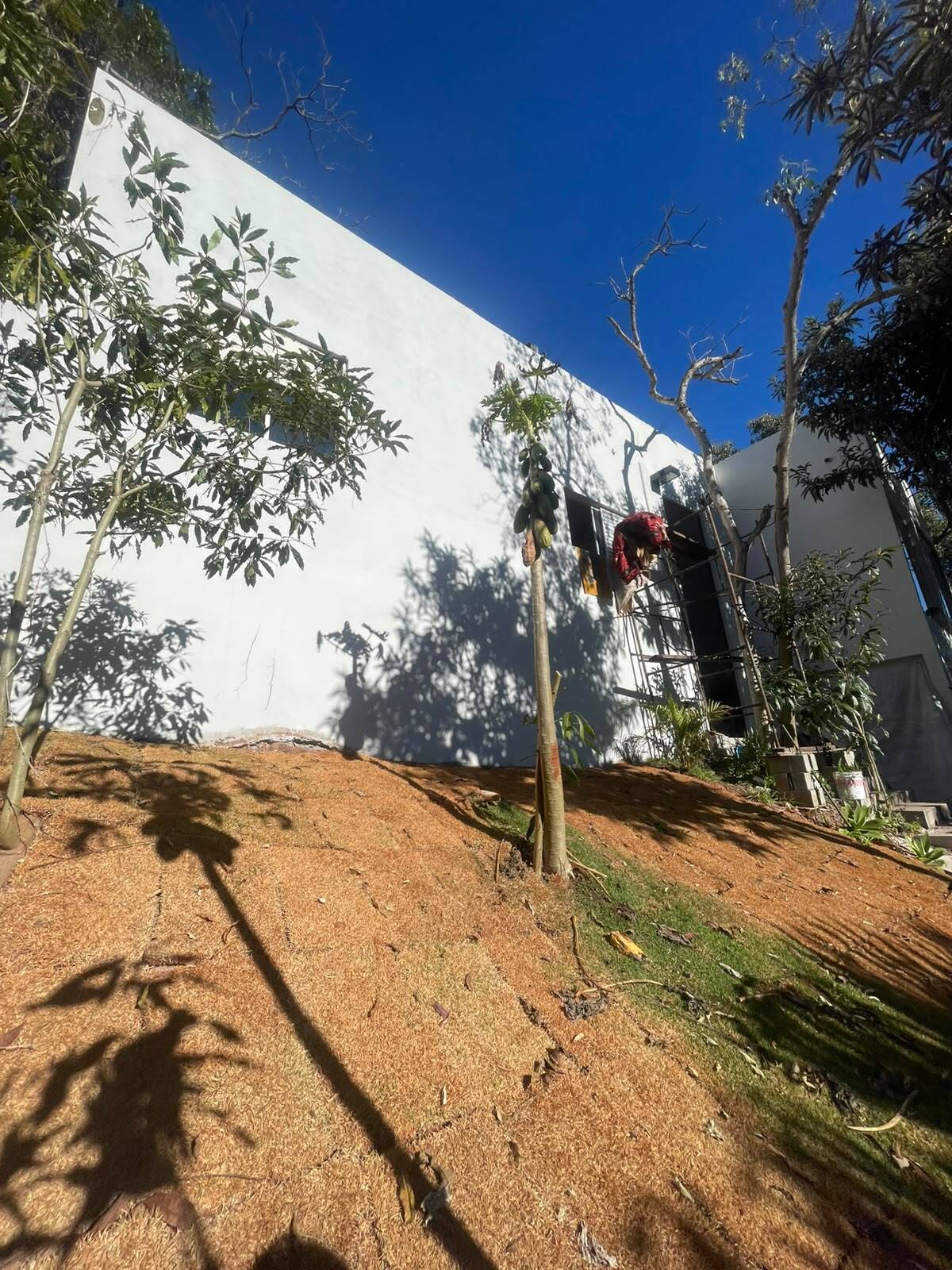 Casa, 2 quartos - Foto 4