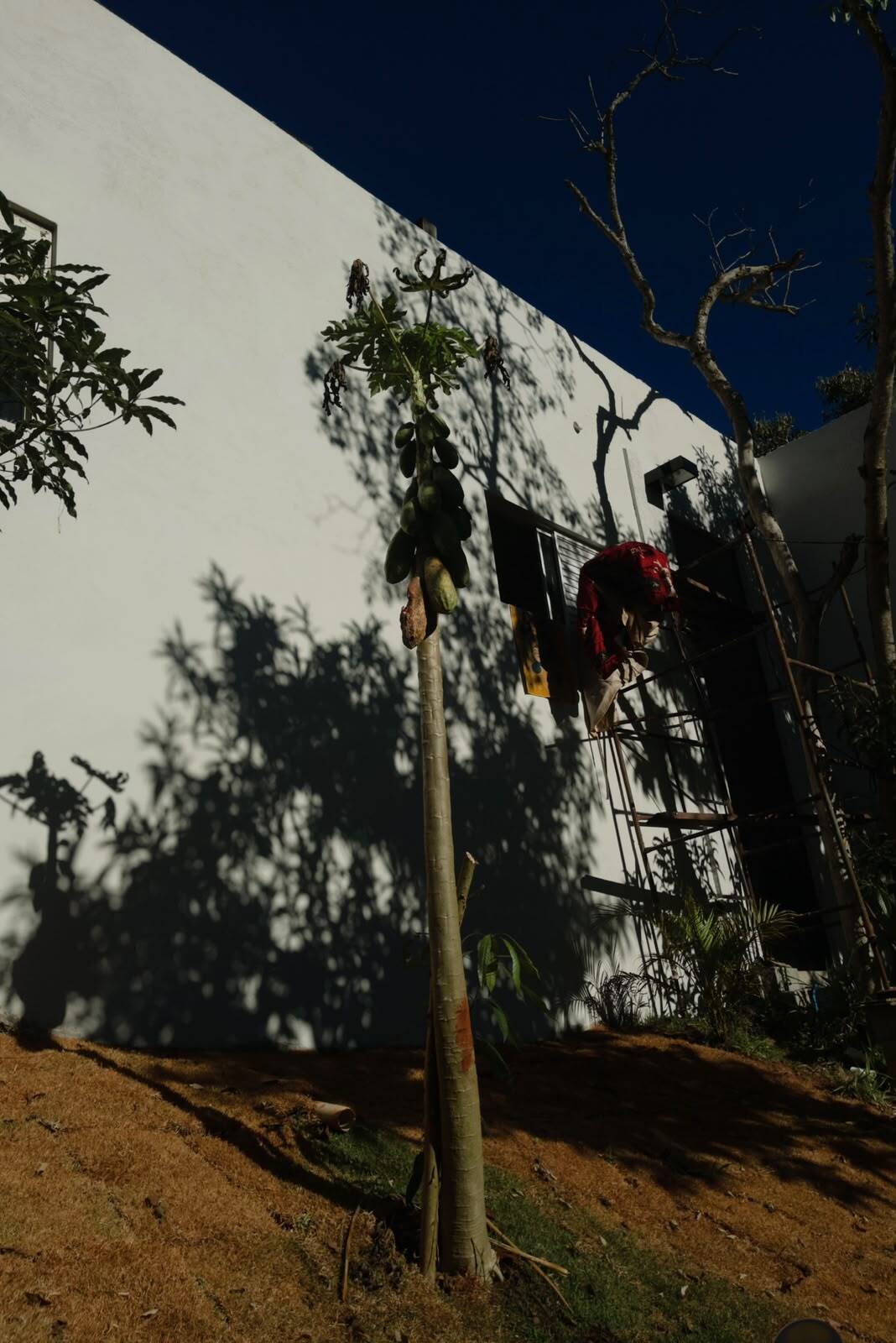 Casa, 2 quartos - Foto 5