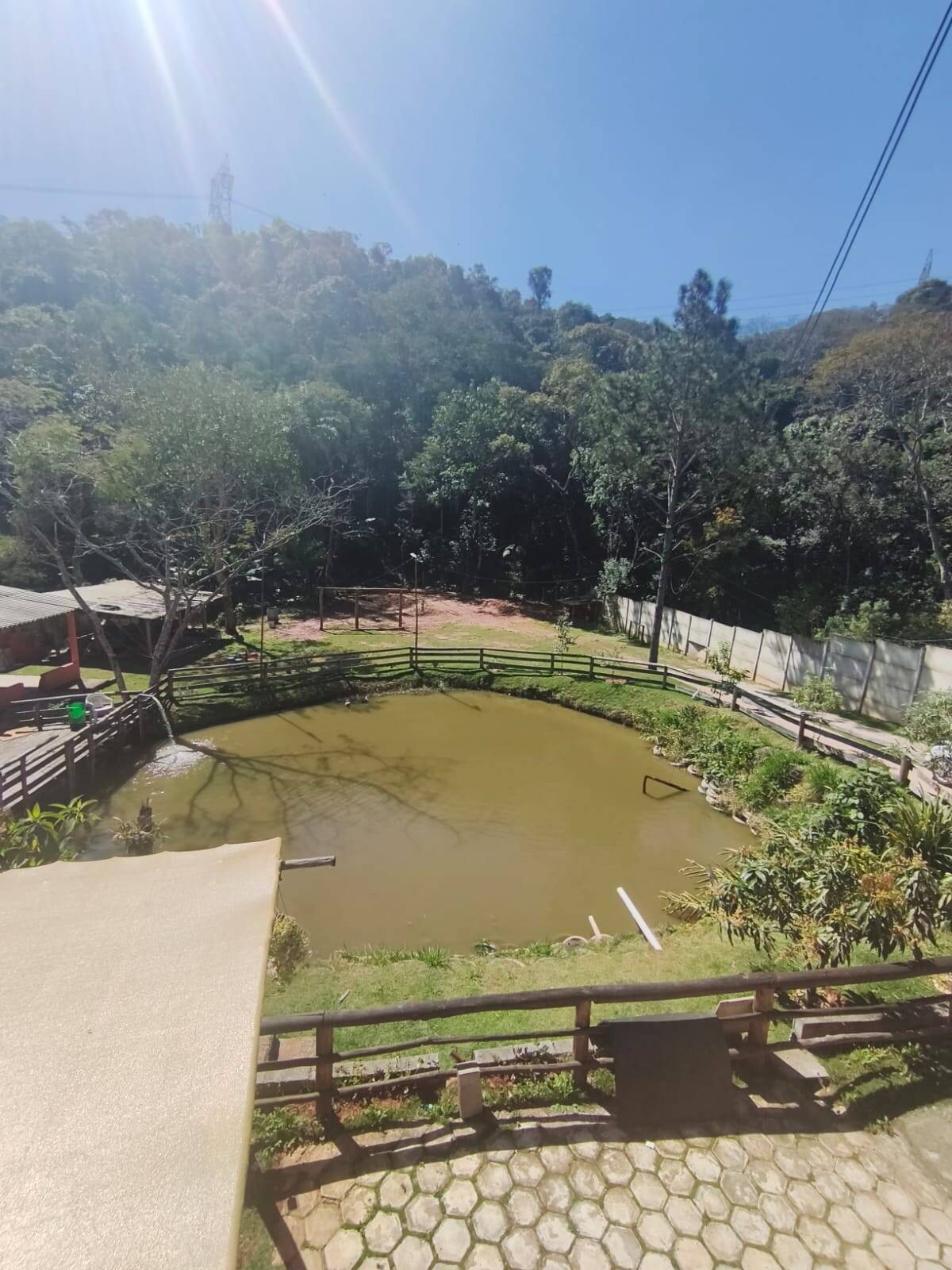 Sítio, 3 quartos, 2 hectares - Foto 4