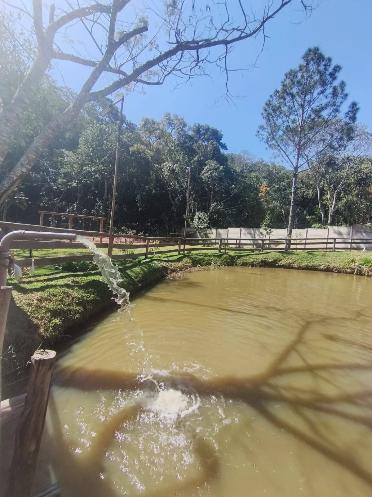 Sítio, 3 quartos, 2 hectares - Foto 33